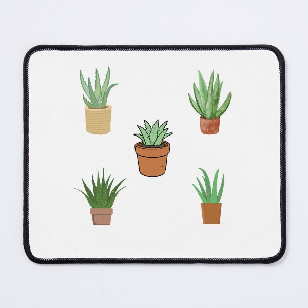 Item preview, aloe vera pack designed and sold by Creativity Zone.