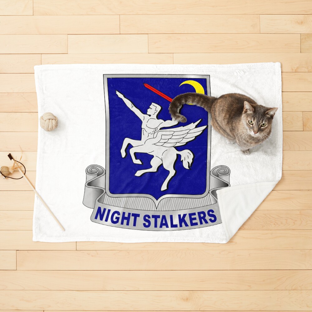 160th night stalkers flag