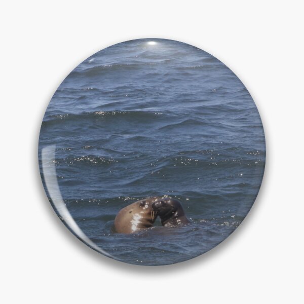 Item preview, Kissing Peruvian Seals  designed and sold by Holly Krill.