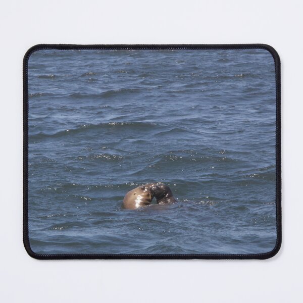 Item preview, Kissing Peruvian Seals  designed and sold by Holly Krill.