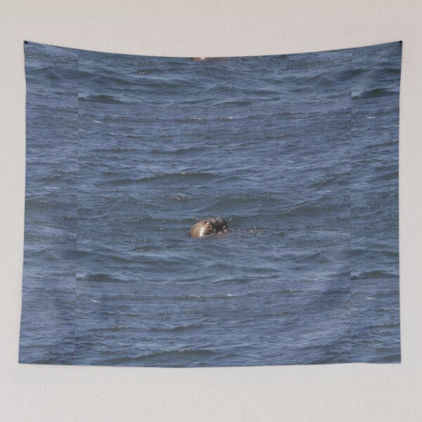 Item preview, Kissing Peruvian Seals  designed and sold by Holly Krill.