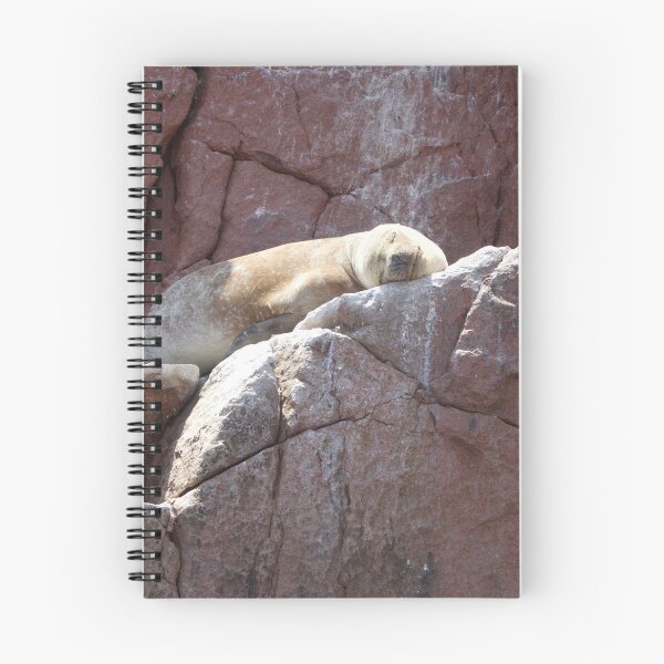 Item preview, Sunbathing on the Islas Ballestas designed and sold by Holly Krill.