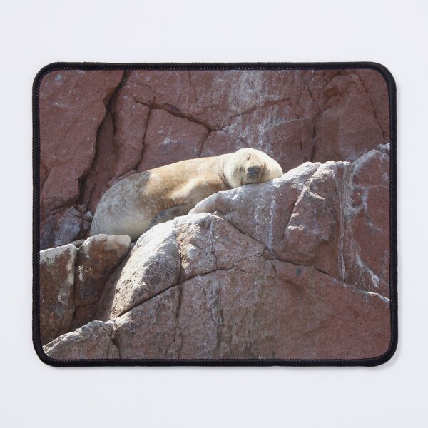 Item preview, Sunbathing on the Islas Ballestas designed and sold by Holly Krill.