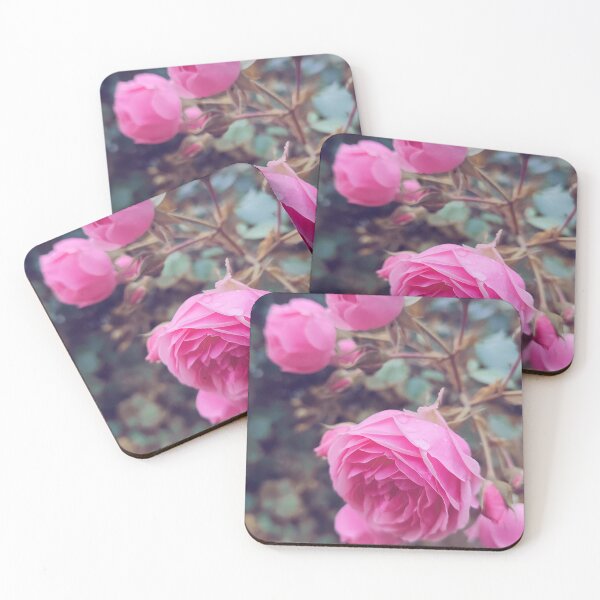 Item preview, Vintage pink wild rose designed and sold by Photostacia.