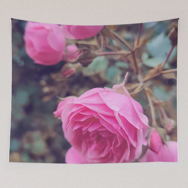 Item preview, Vintage pink wild rose designed and sold by Photostacia.