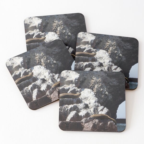 Item preview, Islas Ballestas Wildlife designed and sold by Holly Krill.