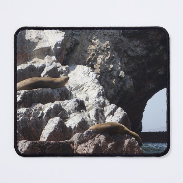 Item preview, Islas Ballestas Wildlife designed and sold by Holly Krill.