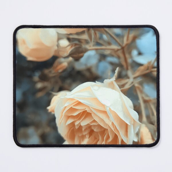 Item preview, Vintage yellow wild rose designed and sold by Photostacia.