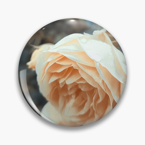 Item preview, Vintage yellow wild rose designed and sold by Photostacia.