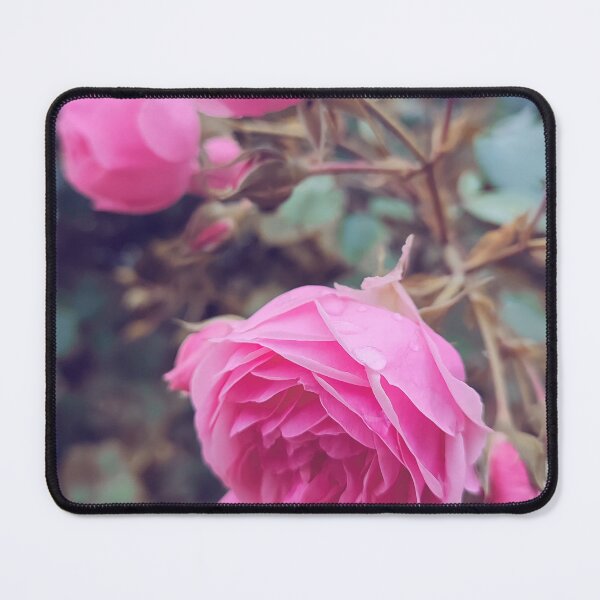Item preview, Vintage pink wild rose designed and sold by Photostacia.