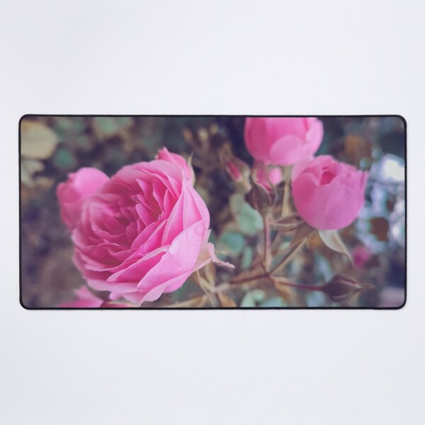 Item preview, Vintage pink wild rose designed and sold by Photostacia.