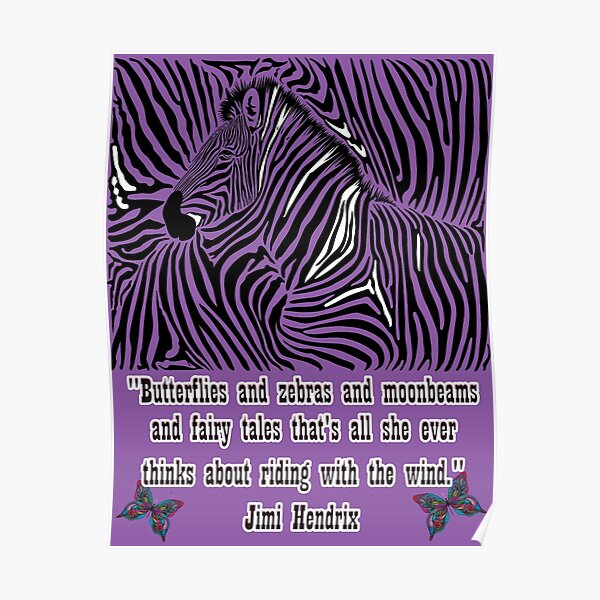 "Butterflies and Zebras and moonbeams and fairy tales Jimi Hendrix
