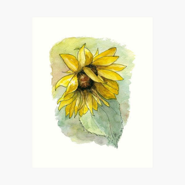 Sunflower Art Print