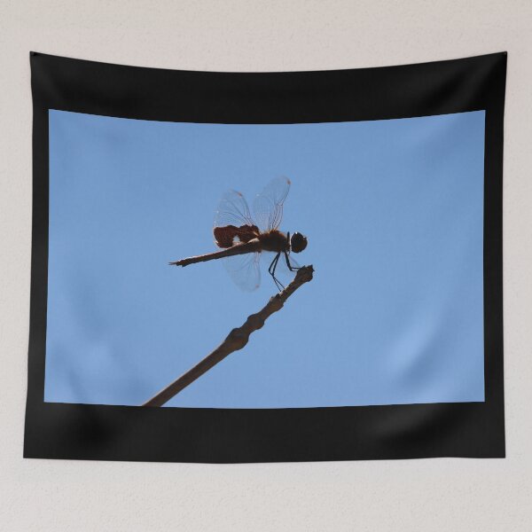 Item preview, Dragonfly Silhouette designed and sold by LisaNaturePhoto.