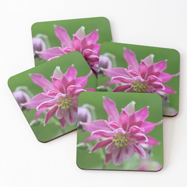 Item preview, Columbine IV designed and sold by cuprum.