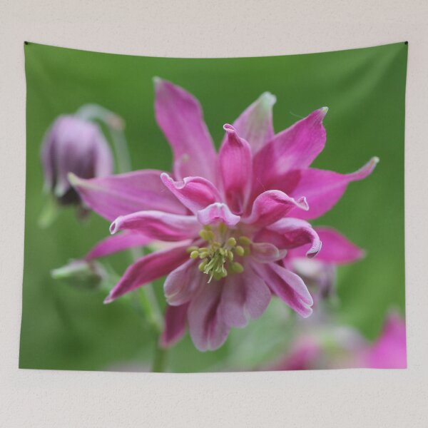 Item preview, Columbine IV designed and sold by cuprum.