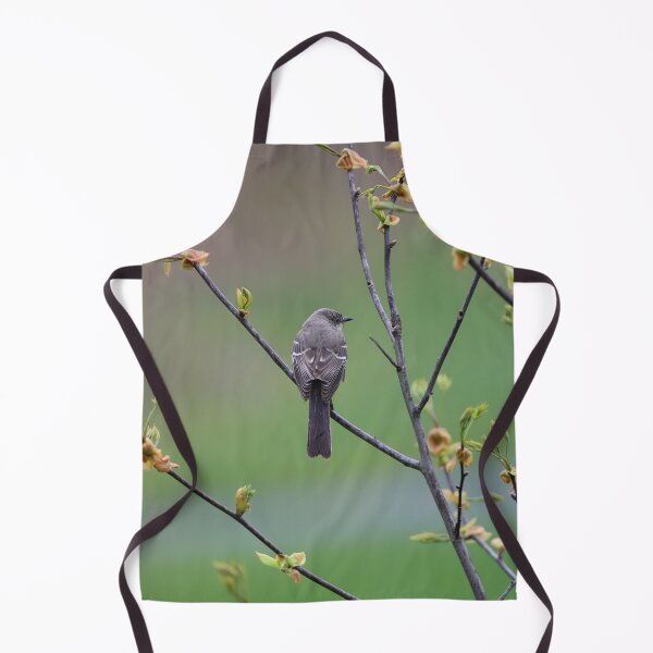 Item preview, Northern Mockingbird in a Hickory Tree designed and sold by LisaNaturePhoto.