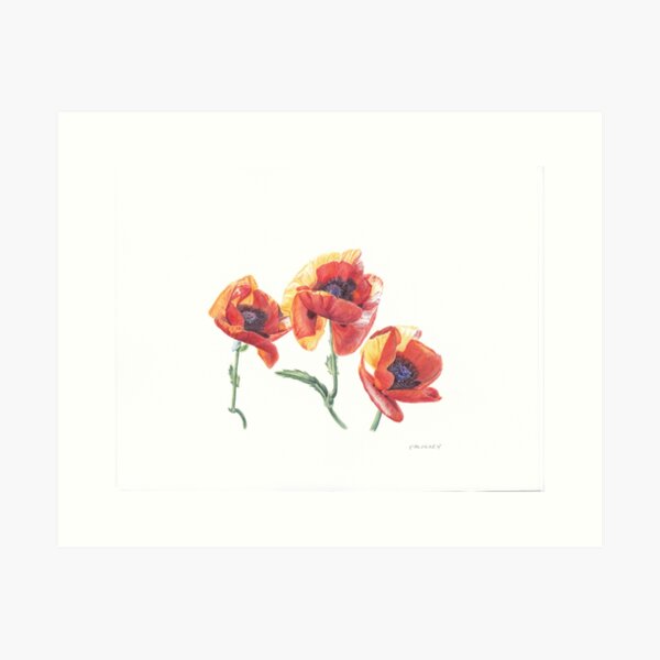Asian Poppies Art Print