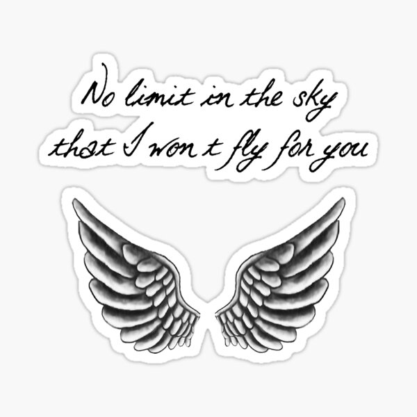 No limit in the sky that I won't fly for you Sticker