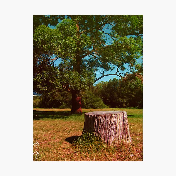 Item preview, I Used To Be a Tree designed and sold by Ria Quinto.