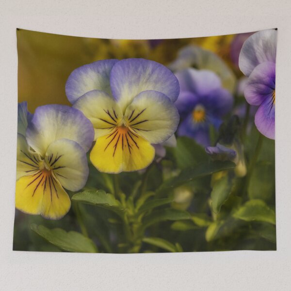 Item preview, Violets designed and sold by Veikko  Suikkanen.
