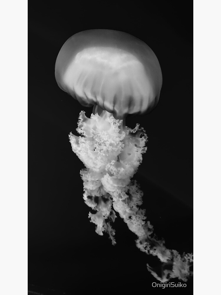 "Black and White Jellyfish" Poster for Sale by OnigiriSuiko Redbubble