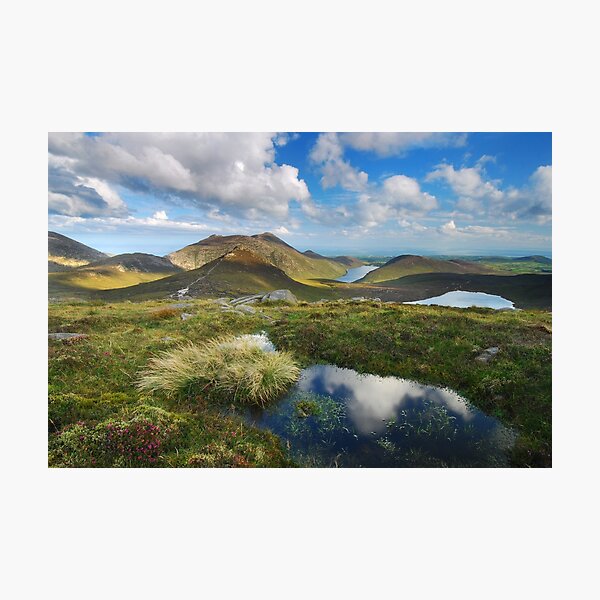 The Height of Summer Photographic Print