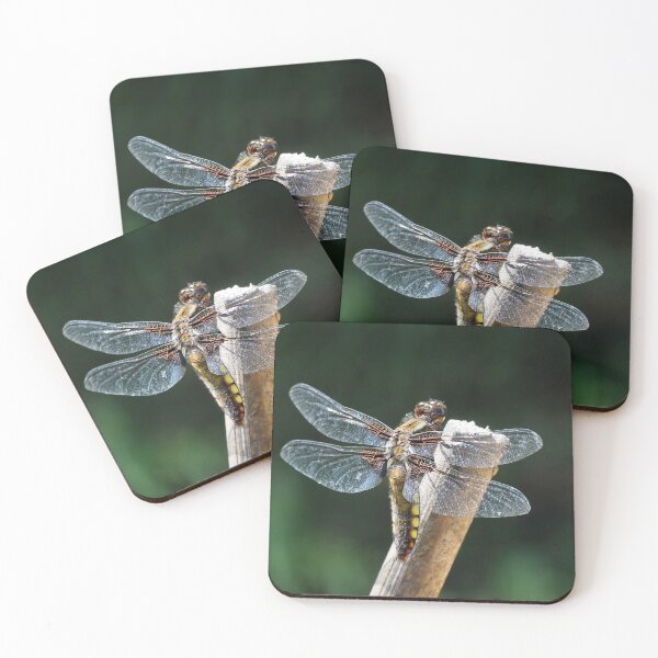 Item preview, The Broad-bodied Chaser designed and sold by cuprum.