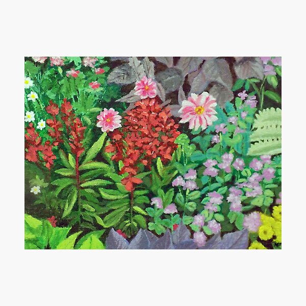 Alaskan Flora Photographic Print
