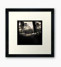 Light Framed Print