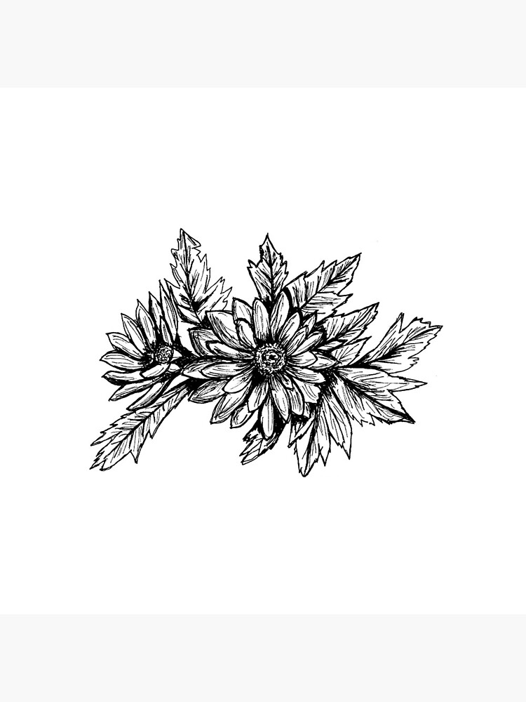 Pen and Ink Chrysanthemum by irenebernhardt