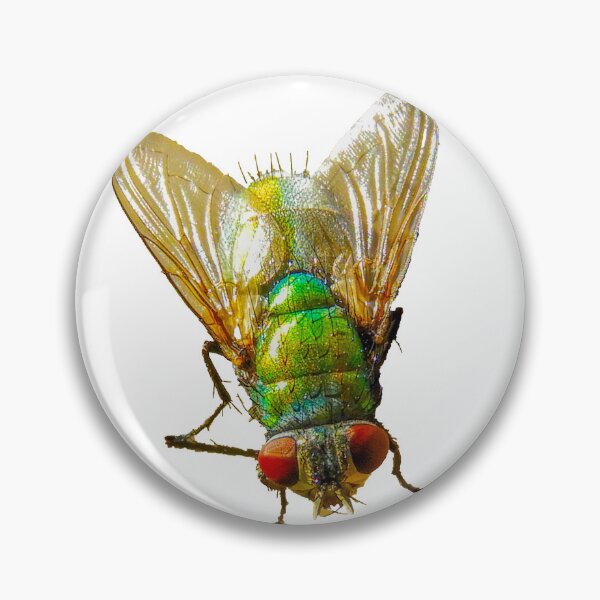 Item preview, fly designed and sold by indiafrankk.