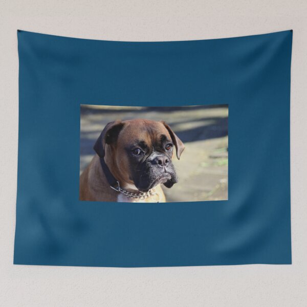 Item preview, Who.... Me Boxer Dog Series Premium Scoop  designed and sold by WhiteCrowCraft.