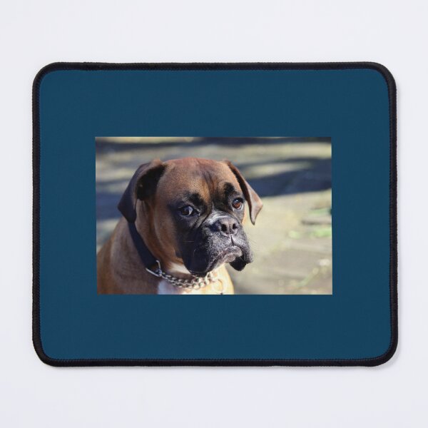 Item preview, Who.... Me Boxer Dog Series Premium Scoop designed and sold by WhiteCrowCraft.