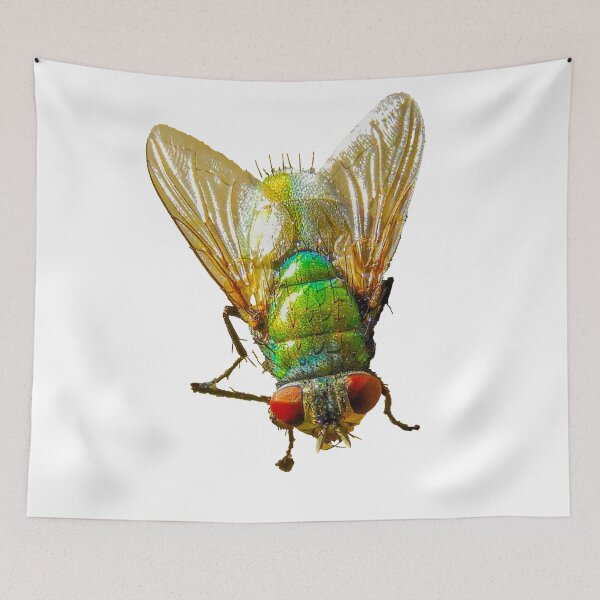 Item preview, fly designed and sold by indiafrankk.