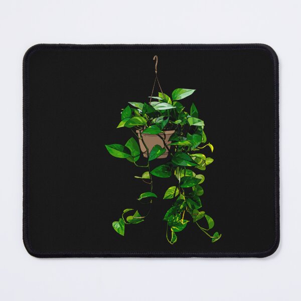 Item preview, Hanging Pothos Plant  designed and sold by parcoaguel.
