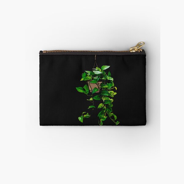Item preview, Hanging Pothos Plant  designed and sold by parcoaguel.