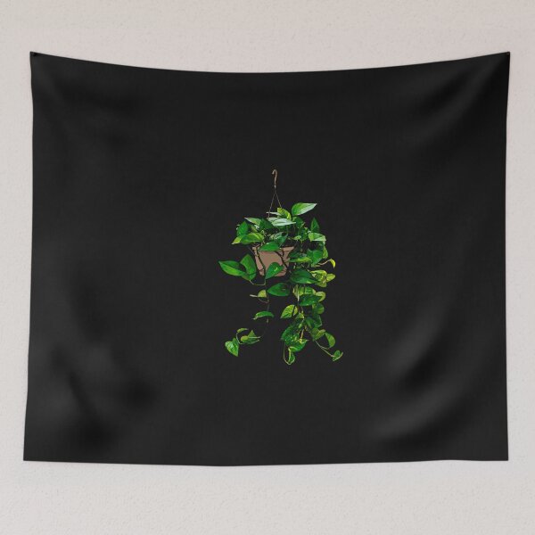 Item preview, Hanging Pothos Plant  designed and sold by parcoaguel.
