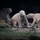 «Los tres osos» de Ladymoose