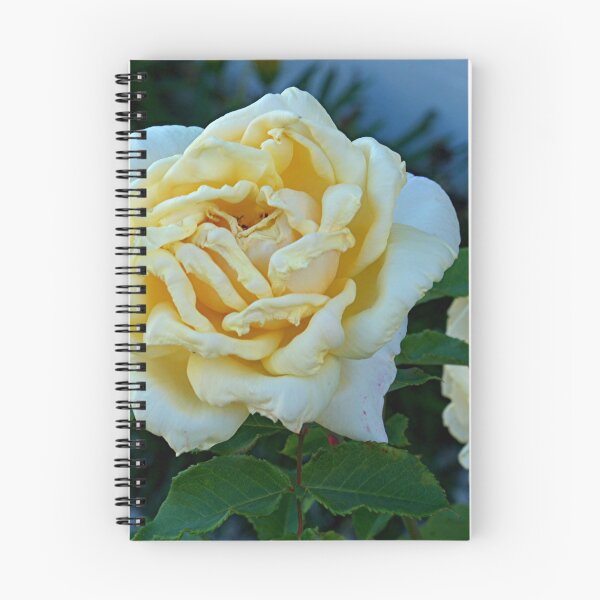 Item preview, Rose - mellow yellow.......!! designed and sold by Roy  Massicks.