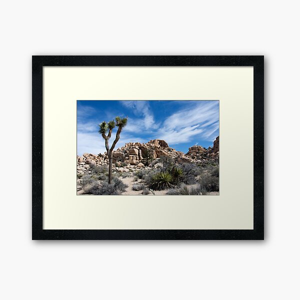 Item preview, Joshua Tree National Park designed and sold by NancyKHajjar.