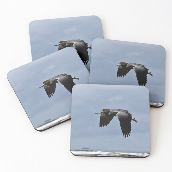 Item preview, White Faced Heron in Flight at Bateau Bay Beach NSW Central Coast of Australia designed and sold by suziq1962.