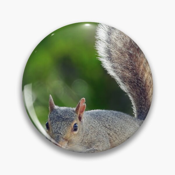 Item preview, Cute Squirrel #123 designed and sold by Jeffrey Mask.