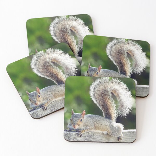 Item preview, Cute Squirrel #123 designed and sold by Jeffrey Mask.