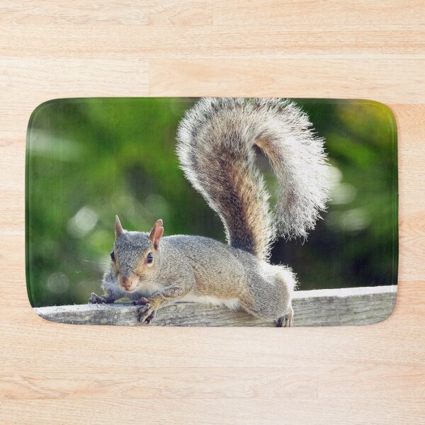 Item preview, Cute Squirrel #123 designed and sold by Jeffrey Mask.