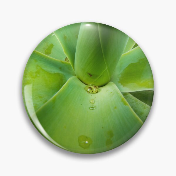 Item preview, Debris Filled Bubble on Agave Plant designed and sold by suziq1962.