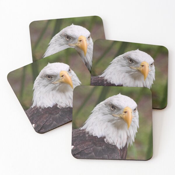 Item preview, Handsome American Bald Eagle in the Rain designed and sold by richardbryce.