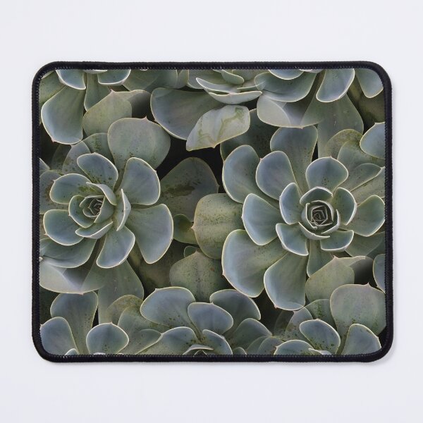 Item preview, Aeonium Green (pattern) designed and sold by Yampimon.