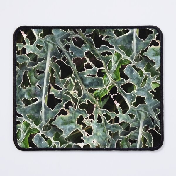 Item preview, Brassica Massacre (pattern) designed and sold by Yampimon.