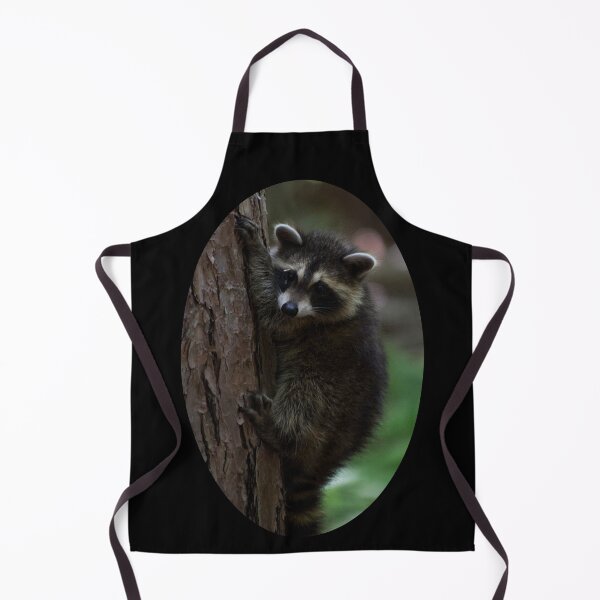 Item preview, Young Raccoon at Letchworth State Park designed and sold by jc1192.